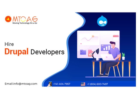Drupal Development Company