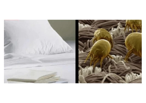 Professional Mattress Cleaning Canberra - 3/7