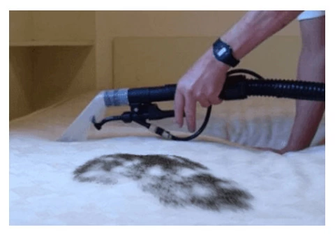 Professional Mattress Cleaning Canberra - 7/7
