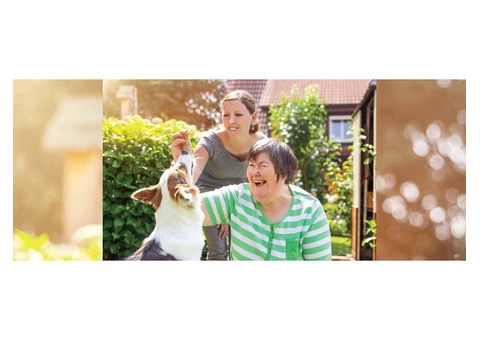 Integrity Disability - 3/3