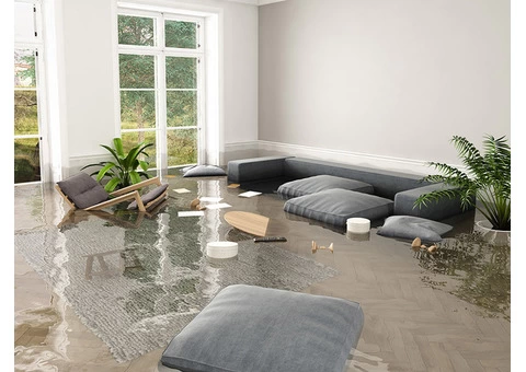 Quality Flood Damage Repair Services