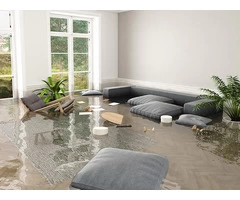 Quality Flood Damage Repair Services