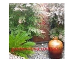 landscaping ideas for front yard