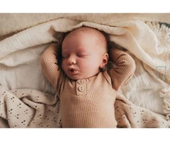 Daniella Stein Photography