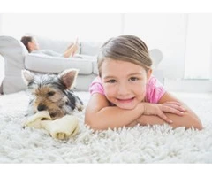 Steam Cleaner Hire Brisbane||1300136365