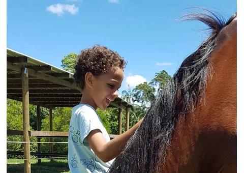 Best Equine Therapy In Queensland