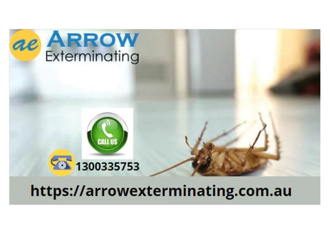 Top Pest Control Services in Perth