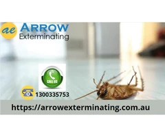 Top Pest Control Services in Perth