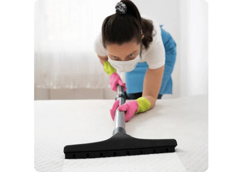Professional Mattress Cleaning Service in Hobart-Thrive Mattress Cleaning Hobart