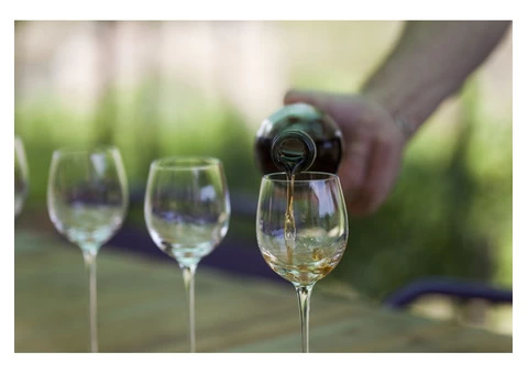 Adelaide wine tasting tours