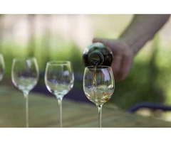 Adelaide wine tasting tours