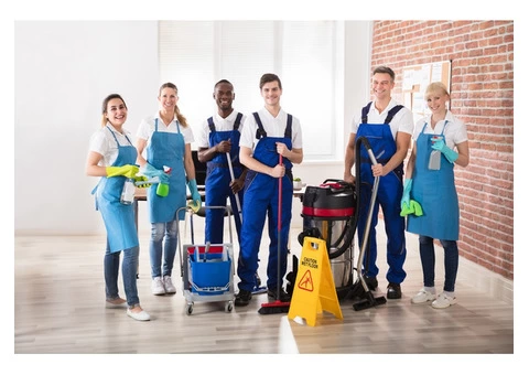 Carpet and pest control Brisbane