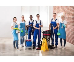 Carpet and pest control Brisbane