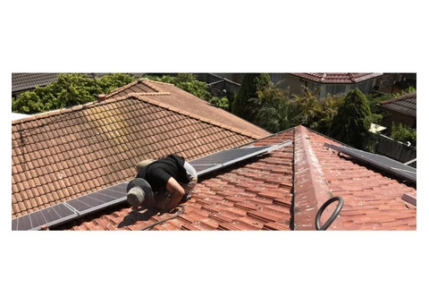 Possum Removal in North Shore | SRM Termite Pest Control