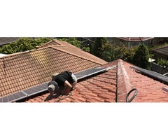 Possum Removal in North Shore | SRM Termite Pest Control
