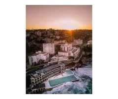 Section J Report - Littleshrub