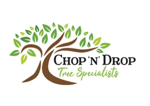 Tree Removal In Lake Macquarie