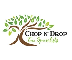 Tree Removal In Lake Macquarie