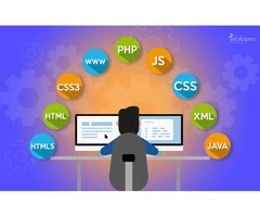 Web Development Training In Gurgaon