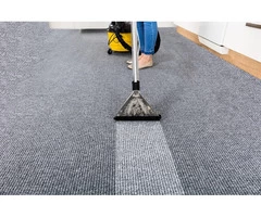 Affordable Carpet Cleaning Services