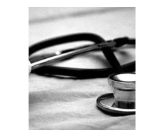 Dog Physiotherapy In Brisbane