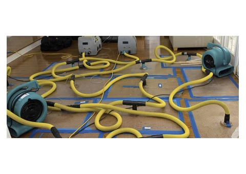 Water damage carpet drying Brisbane offers reliable and affordable carpet water damage services.