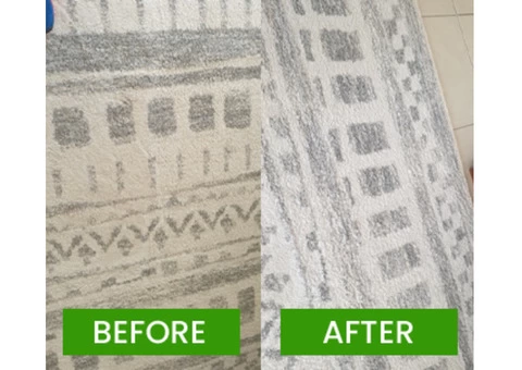 Professional Carpet Cleaning Brisbane - 2/3