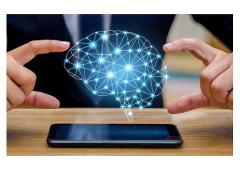 Digital Support Of Adelaide Mental Health Software