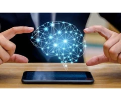 Digital Support Of Adelaide Mental Health Software