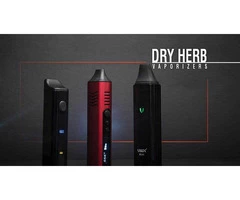 Black Mamba Australia