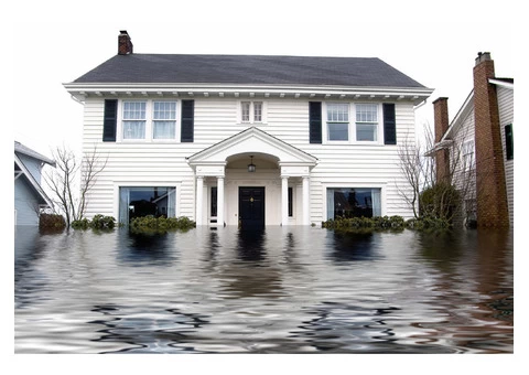 Affordable Water Damage Repair Services