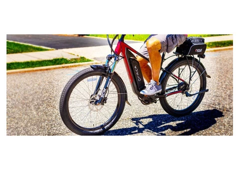 E-bikes: Australia's best electric bike
