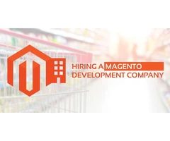 Get Your e-store built by the Top Magento Development Company