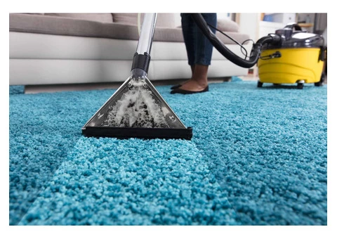Rug Cleaning Canberra