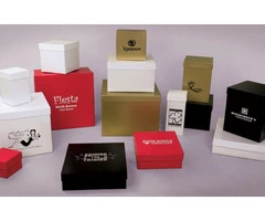 Professional Upholstery Cleaning Sutherland-shire