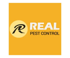 Real Cockroach Control Adelaide