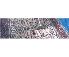 Professional Rug Cleaning Service Brighton