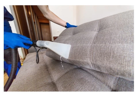 Professional Upholstery Cleaning Service Blue Mountains