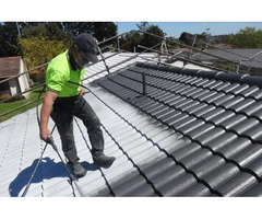 Painters  in Richmond