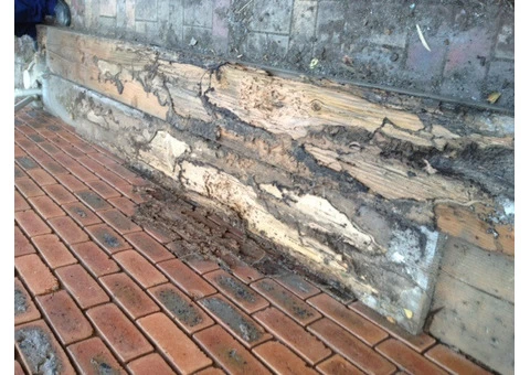 Solve Your Termite Problem Today With Greenzone Termite Barriers