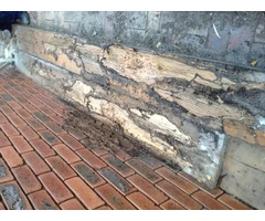 Solve Your Termite Problem Today With Greenzone Termite Barriers