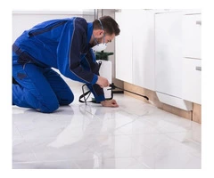 Get Trusted Pest Control In Canterbury for a Clean Home