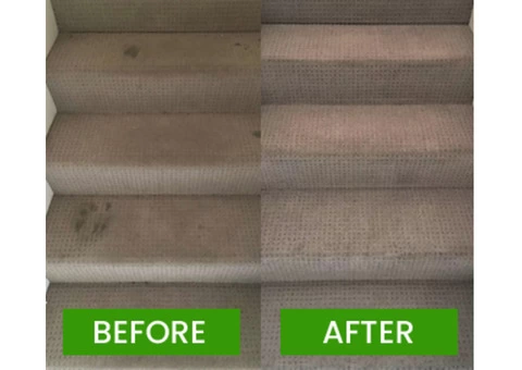 Professional Carpet Cleaning Brisbane - 1/5