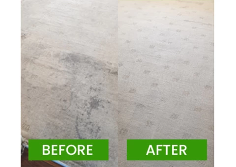 Professional Carpet Cleaning Brisbane - 2/5