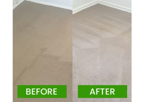Professional Carpet Cleaning Brisbane - 3/5