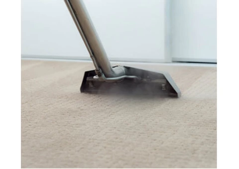 Professional Carpet Cleaning Brisbane - 4/5