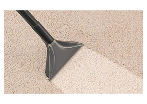 Professional Carpet Cleaning Brisbane - 5/5