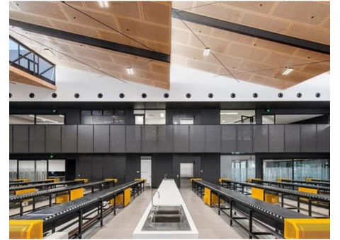 Birch Plywood for Use in High-End Applications