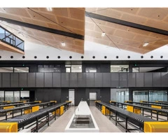 Birch Plywood for Use in High-End Applications