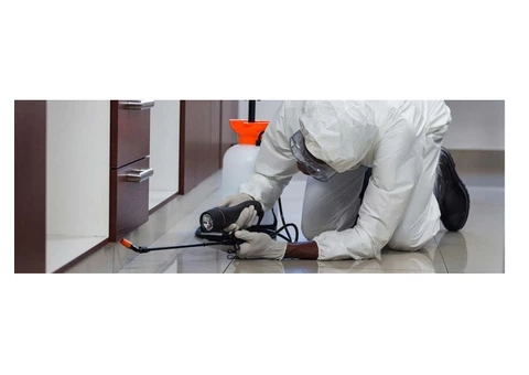 Pest Control Kelvin Grove - 2/3
